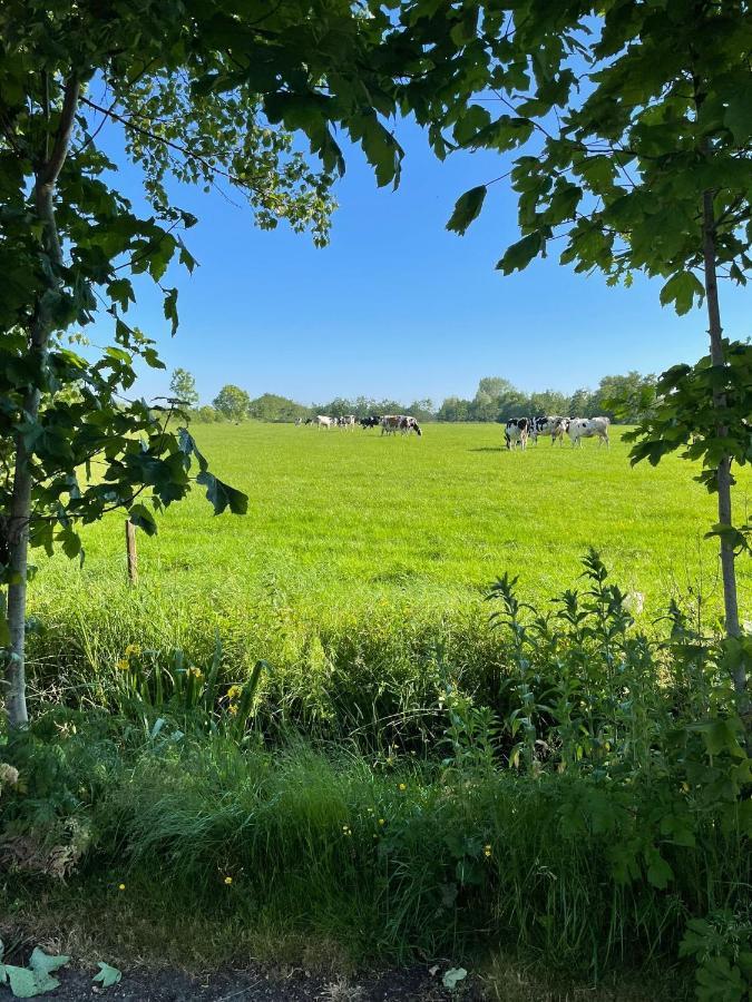 B&B Ut En Thus Sweagerbosk Exteriör bild