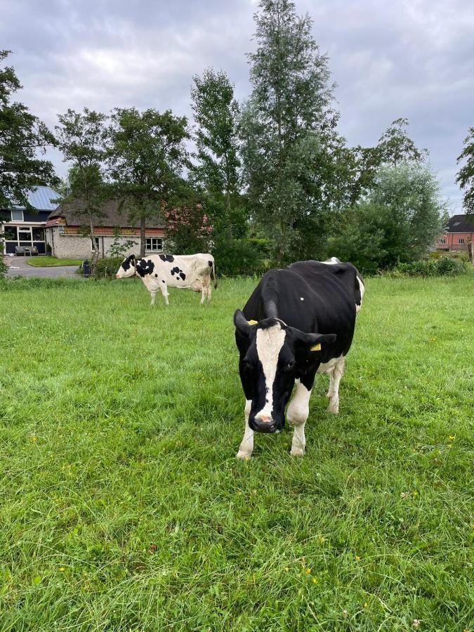 B&B Ut En Thus Sweagerbosk Exteriör bild